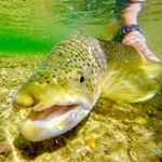 Profile Picture of Kyle Rosenlund MSN, RN (@empowermentflyfishing) on Instagram