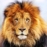 Profile Picture of Andrew Tillett (@andrewtill99) on Instagram
