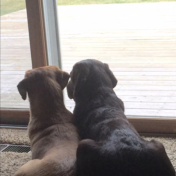 Profile Picture of Scott Frost (@cpswagger) on Poshmark