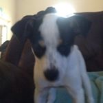 Profile Picture of Jim Criswell (@jim_cri) on Instagram