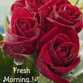 Profile Picture of Muhaj K A (@k_muhaj) on Twitter