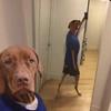 Profile Picture of Patrick Bennett (@@patrickxbennett) on Tiktok