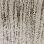 Profile Picture of Mike  Goss (@michaelgoss2021) on Flickr