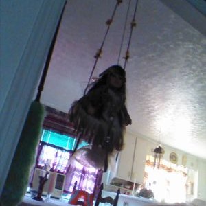 Profile Picture of Carolyn Cooley (@snow1918) on Twitter