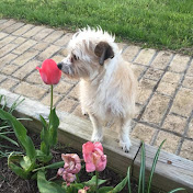 Profile Picture of Stacey Mullins (@staceymullins7043) on Youtube