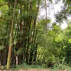 Profile Picture of Edi Figeroa (@edi.figeroa.3) on Facebook