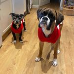 Profile Picture of Catherine Archibald (@catherineallan63) on Instagram