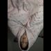 Profile Picture of Gregory Paul (@gregory.paul.1238292) on Facebook