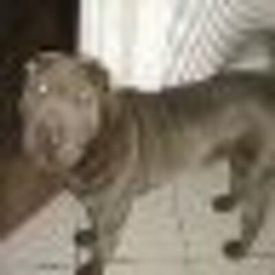 Profile Picture of Julian Rigby (@julianrigby) on Twitter