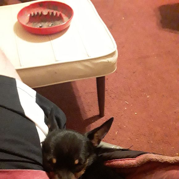 Profile Picture of Irvin Fleegle (@irvinfleegle) on Poshmark