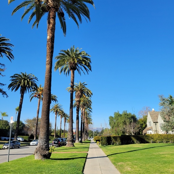 Profile Picture of Marisol Arredondo (@soulsensei) on Poshmark