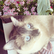 Profile Picture of Caitlin Boyce (@caitlinboyce3491) on Youtube