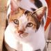 Profile Picture of Catherine Bennet (@catherine.bennet.37) on Facebook