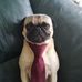 Profile Picture of Anthony Decker (@anthony.decker.7549) on Facebook