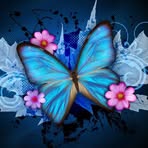 Profile Picture of Krista Macomber (@cailinkittycat) on Facebook