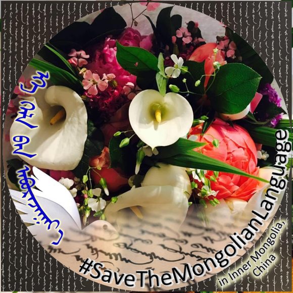 Oogii Yundensonom - Poshmark Profile Picture of Oogii Yundensonom (@misheel2000) on Poshmark