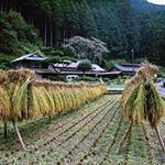 Profile Picture of leonard_kennedy (@leonard_kennedy) on Instagram