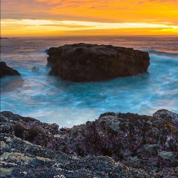 Profile Picture of Christine Dourian (@chistinr) on Poshmark