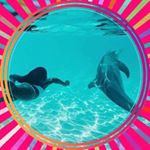 Profile Picture of Carol Kessler (@carol_kessler.a8d5a2) on Instagram