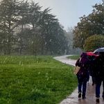 Profile Picture of hailey.marshall.2947839 (@hailey.marshall.2947839) on Instagram