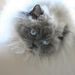Profile Picture of Jeffery Gates (@jefferygates3) on Pinterest