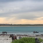 Profile Picture of Brynn Treble (@Brynn-Treble) on Facebook