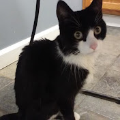 Profile Picture of T Bee (@tbee7782) on Youtube