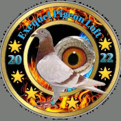 Profile Picture of Nathan Dove TV (@aldrinnathanpogi7585) on Youtube