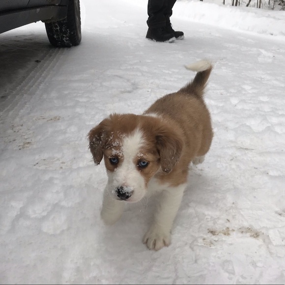 Profile Picture of Makayla Murphy (@countrygirl175) on Poshmark