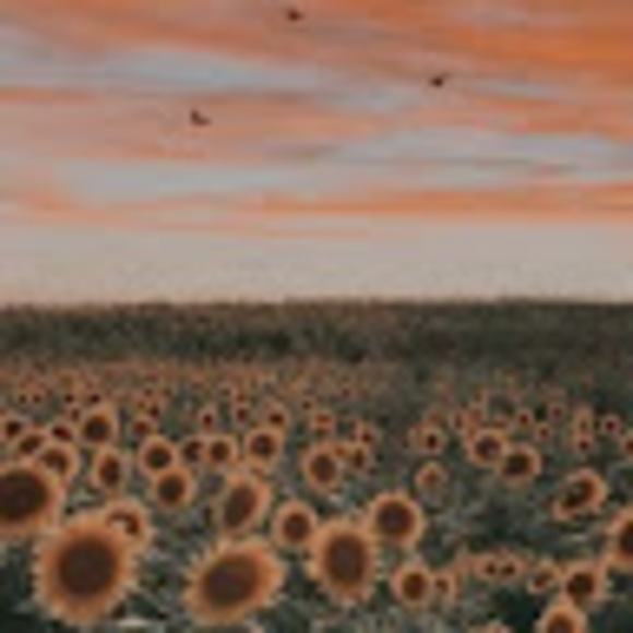 Profile Picture of Rebekah Armantrout (@r_armantrout) on Poshmark