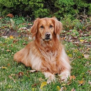 Profile Picture of George Murphy (@georgemurphy1) on Instagram