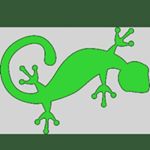 Profile Picture of nathan stacey (@_infinity.gecko_) on Instagram