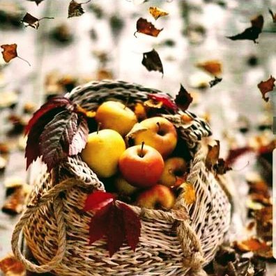 Profile Picture of Eleni Mavromati (@elenamav05) on Twitter