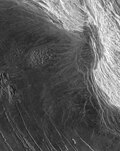 Profile Picture of Tessera (Venus)on Wikipedia