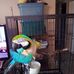 Profile Picture of Jimmy Vickers (@jimmy.vickers.779) on Facebook