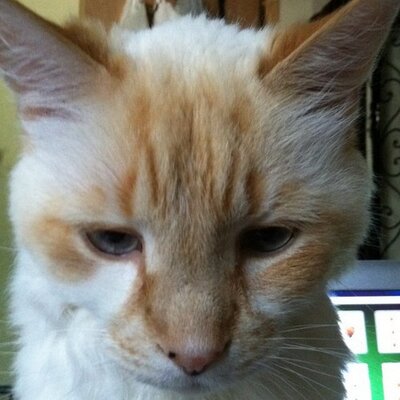 Profile Picture of Jamie Kirby (@jamiekirby2) on Twitter