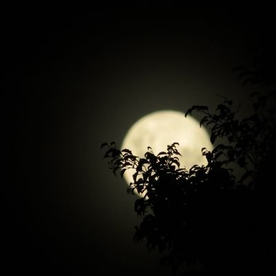 Profile Picture of Jorge Ochoa (@ochoasotomayor) on Twitter