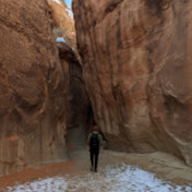 Profile Picture of Taylor McWilliams (@taylormcwilliams8016) on Youtube