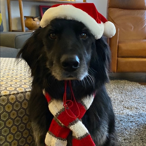 Profile Picture of Debbie Albers (@debbie_albers) on Poshmark