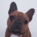 Profile Picture of Kevin Arbuckle (@kevin_the_frenchiebully) on Instagram