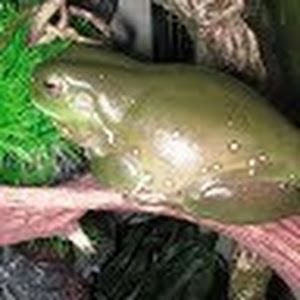 Profile Picture of Maxine (@paulaspitz) on Tiktok