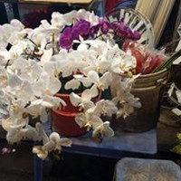 Profile Picture of Divya Pillai (@divya-pillai-22) on Quora