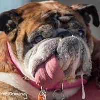 Profile Picture of Joshua Howland (@joshua-howland-9) on Quora