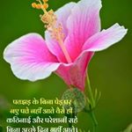 Profile Picture of Rahul singh (@dany.016942) on Instagram