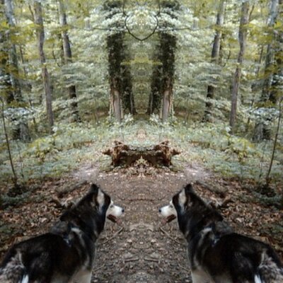 Profile Picture of T (@JerryOD) on Twitter