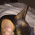 Profile Picture of Ronald Bratcher (@ronald.bratcher.12) on Facebook