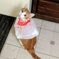 Profile Picture of Tad Bowman (@tad-bowman-4) on Quora