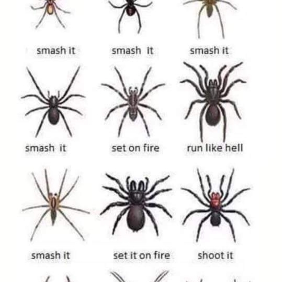 Profile Picture of Kyle Alford (@drofla) on Poshmark