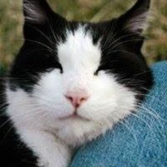 Profile Picture of La Hosac (@lahosac) on Poshmark