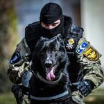 Profile Picture of Angelo Marsilio (@angelomarsilio74) on Instagram